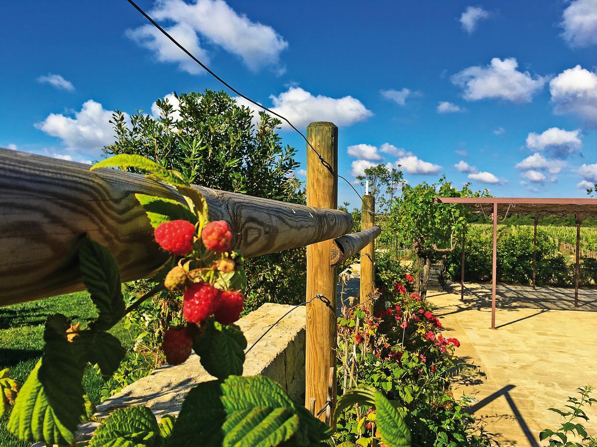 Agriturismo Vigna Corallo Otranto Exterior photo