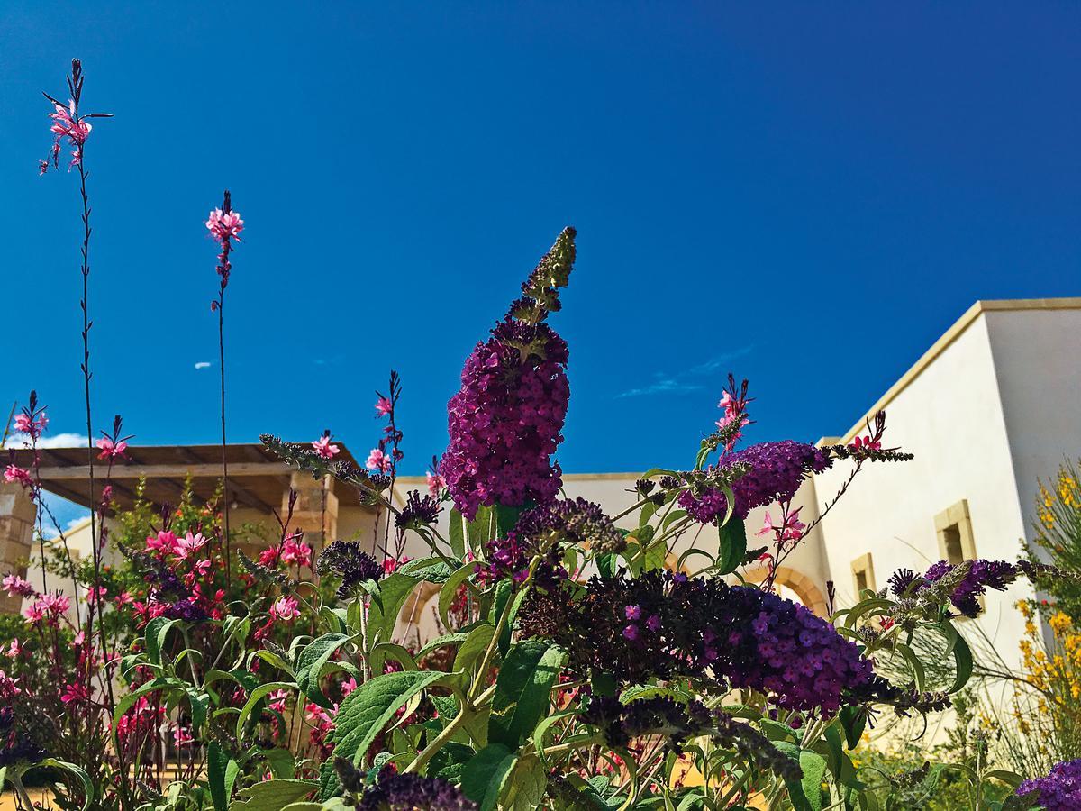 Agriturismo Vigna Corallo Otranto Exterior photo